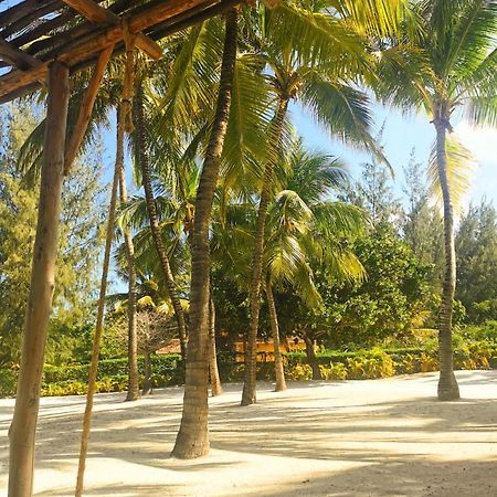 Zumzum Beach House Bed & Breakfast Kinondo Ngoại thất bức ảnh