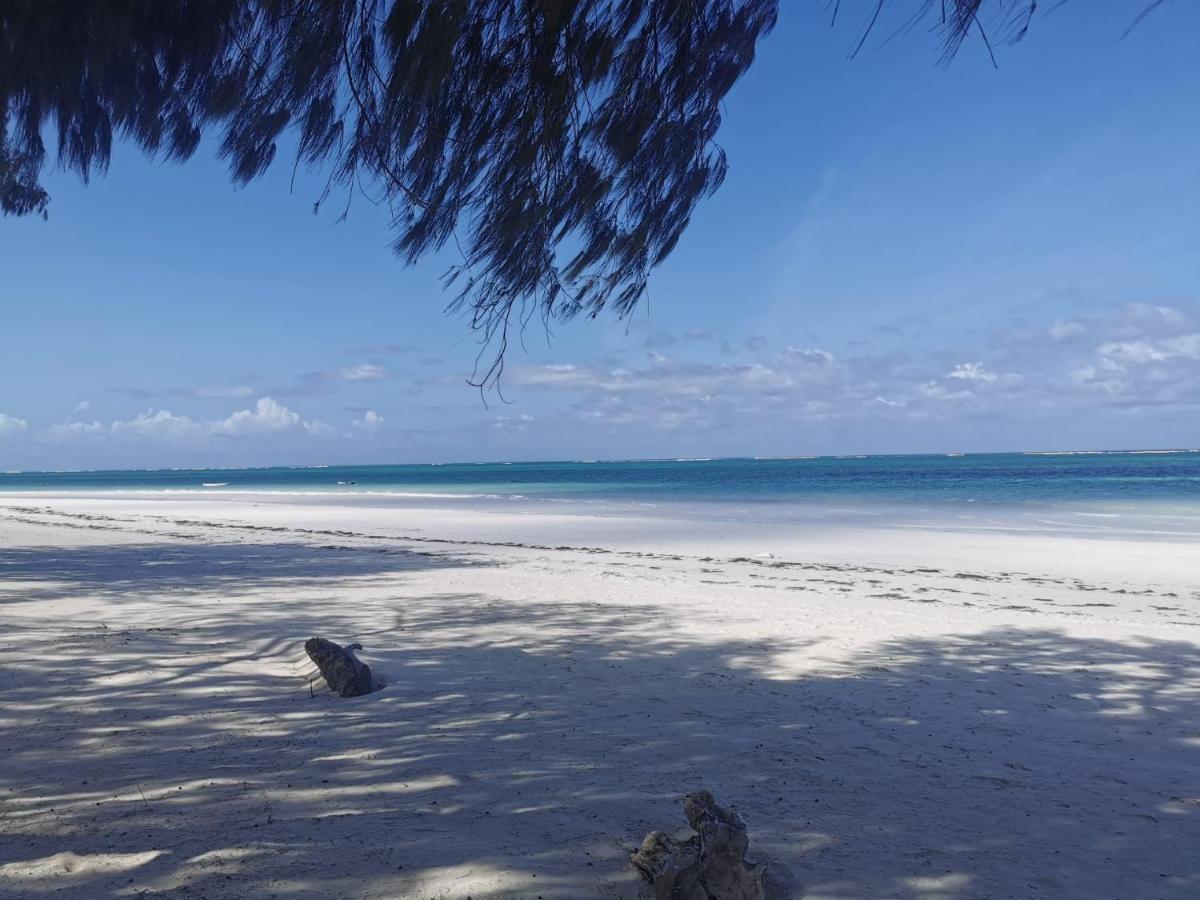 Zumzum Beach House Bed & Breakfast Kinondo Ngoại thất bức ảnh